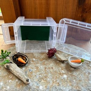 Pet Rock Snail or Turtle Habitat